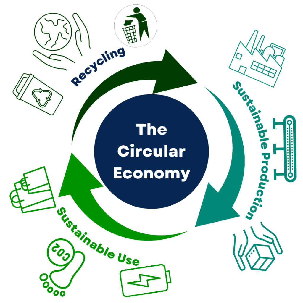 a graphic explaining the three principles of the circular economy: recycling, sustainable production, and sustainable use